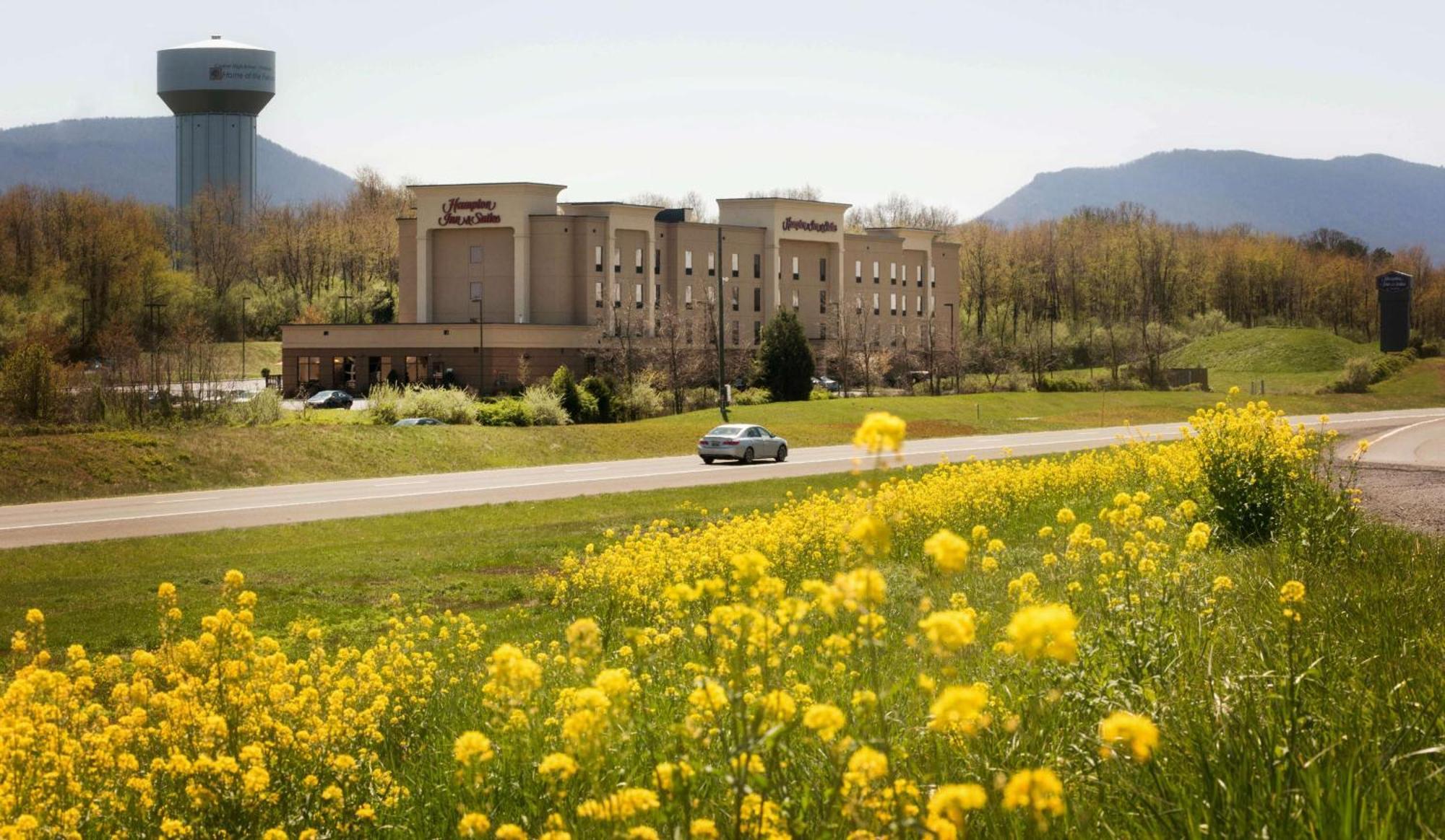 Hampton Inn And Suites Woodstock, Virginia Екстериор снимка